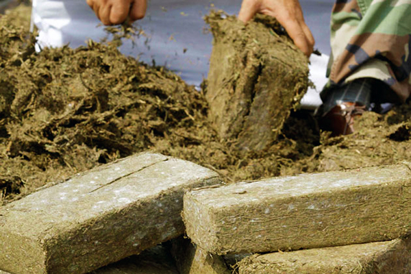 Privado de libertad hombre por presunto tráfico de 56 envoltorios de marihuana en Yaracuy