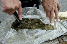 Condenado a 15 años un hombre por tráfico de 25 envoltorios de marihuana en Trujillo