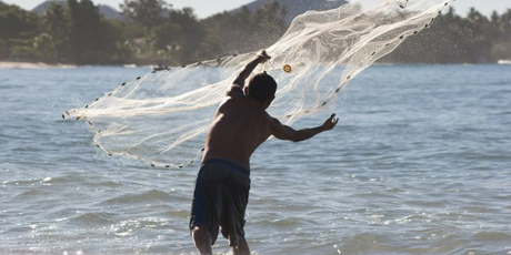 Imputan a cuatro hombres por pesca ilícita de 600 kilos de sardina en Cumaná