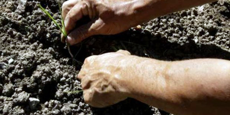 Condenado  agricultor a 10 años de prisión por abusar sexualmente de una niña de 10 años en Cumanacoa